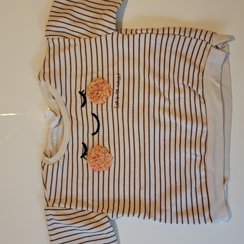 Zara sweatshirt (toddler girl)